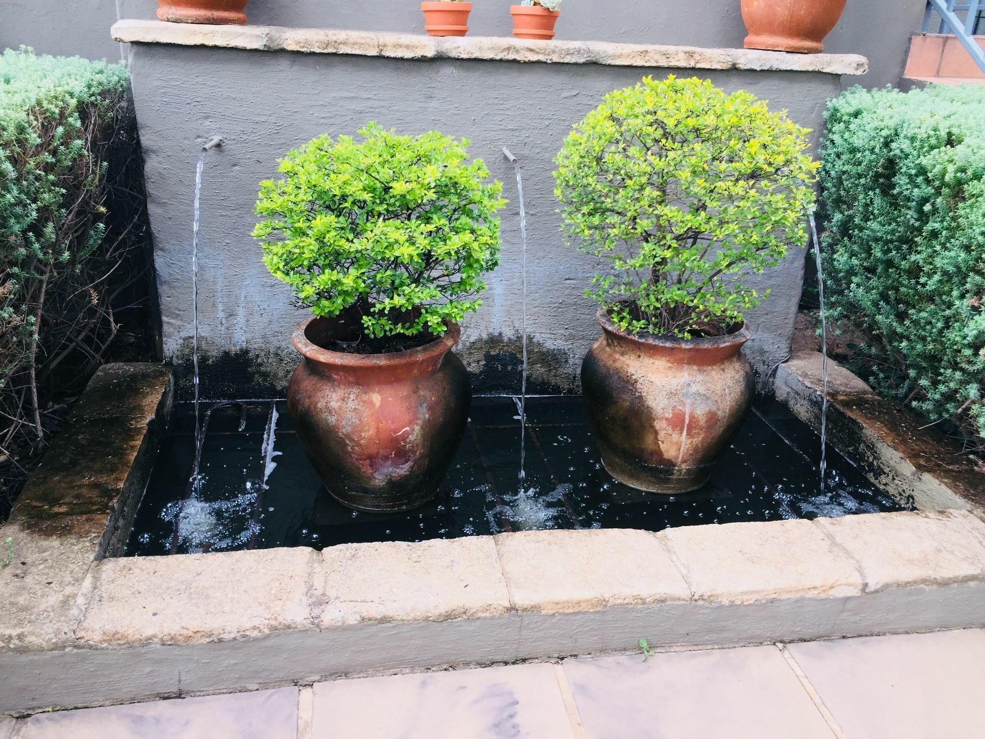 Amoris Guest House-Waterkloof Ridge Pretoria-Noord エクステリア 写真